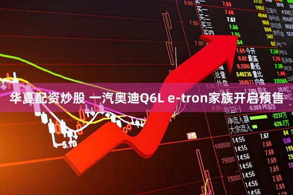 华夏配资炒股 一汽奥迪Q6L e-tron家族开启预售
