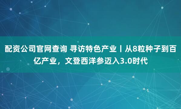 配资公司官网查询 寻访特色产业丨从8粒种子到百亿产业，文登西洋参迈入3.0时代